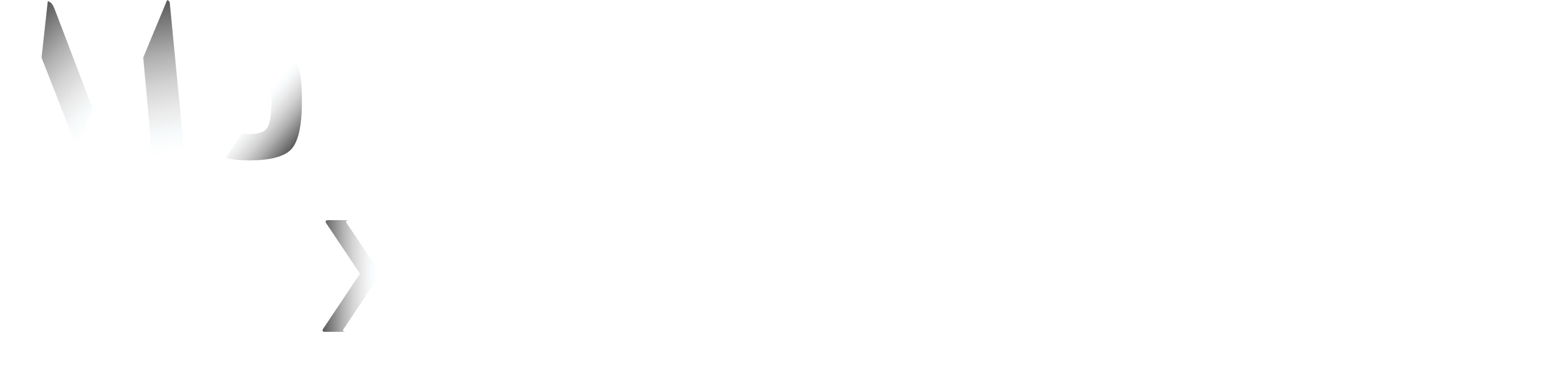 MoneyExpo Logo
